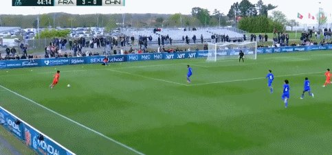 4.gif